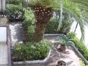 Villa in affitto a Villapiana CS