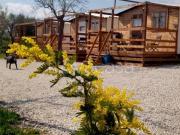 Villa in affitto ad Avola strada Provinciale 15 Noto...