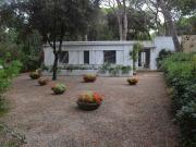Villa in affitto in roccamare 0, Castiglione della Pescaia