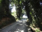 Villa in campagna in vendita a Montecarotto