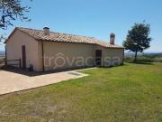 Villa in in affitto da privato a Capalbio località Vigna...