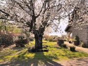 Villa in in affitto da privato a Caprarola strada...