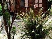 Villa in in affitto da privato a Ladispoli via Lavinio,...