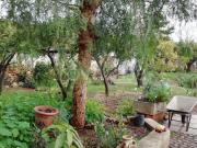 Villa in in affitto da privato a Matino via Enrico Toti,...