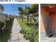 Villa in in affitto da privato a Nettuno via Atina, 13,...