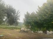 Villa in in affitto da privato a Ortona contrada Villa...