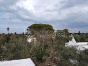 Villa in in affitto da privato a Ostuni via Harold,...