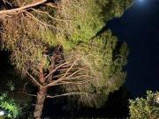 Villa in in affitto da privato a Ostuni via Wally,...