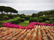 Villa in in affitto da privato a Palau località Porto...