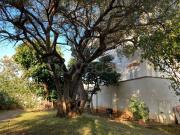 Villa in in affitto da privato a Palermo viale Eurialo,...