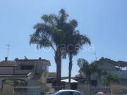 Villa in in affitto da privato a Policoro via Catone,...