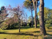 Villa in in affitto da privato a Rimini via San Lorenzo...