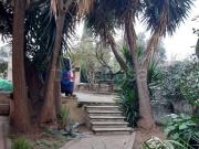 Villa in in affitto da privato a Roma via Carpineto, 78,...