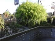 Villa in in affitto da privato a Taranto viale Jonio,...