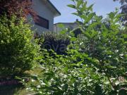 Villa in in affitto da privato a Varese via Piemonte,...