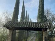 Villa in in affitto da privato ad Arezzo, giardino, da...