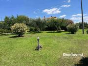 Villa in locazione Poggio Cavallucciaro