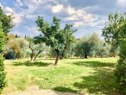 Villa in ottime condizioni in affitto a Firenze