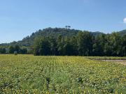 Villa in vendita a Abano Terme PD