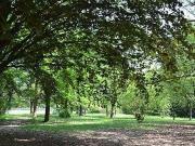 Villa in vendita a Albinea RE
