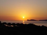 Villa in vendita a Alghero SS