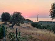 Villa in vendita a Amendolara CS