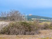 Villa in vendita a Andria