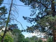 Villa in vendita a Arce FR