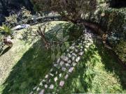 Villa in vendita a Arcola SP