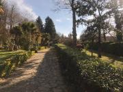Villa in vendita a Ariccia RM