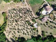 Villa in vendita a Assisi PG