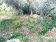 Villa in vendita a Avegno GE