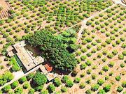 Villa unifamiliare in vendita a Avola