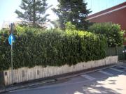 Villa in vendita a Bari BA