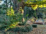 Villa in vendita a Belpasso CT