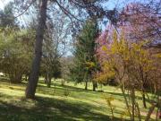 Villa in vendita a Borgo San Lorenzo via brocchi 1