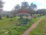 Villa in vendita a Caltagirone