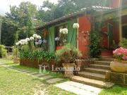 Villa in vendita a Camaiore, Collina