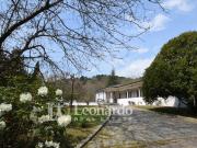 Villa in vendita a Camaiore, Collina