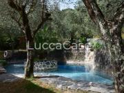 Villa in vendita a Camaiore LU