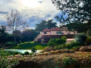 Villa in vendita a Capalbio GR