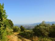 Villa in vendita a Capannori