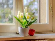 Villa in vendita a Carnate MB