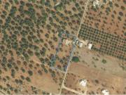 Villa in vendita a Carovigno BR