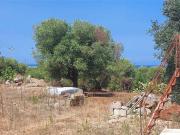 Villa in vendita a Carovigno BR