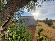 Villa in vendita a Carpignano Salentino LE