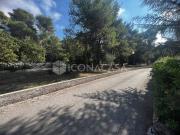 Villa in vendita a Cassano delle Murge BA Villa in vendita a Cassano delle Murge BA