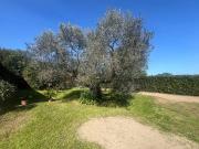 Villa in vendita a Castagneto Carducci LI