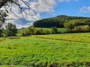 Villa in vendita a Castelfiorentino FI