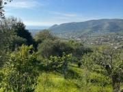 Villa in vendita a Castellabate SA